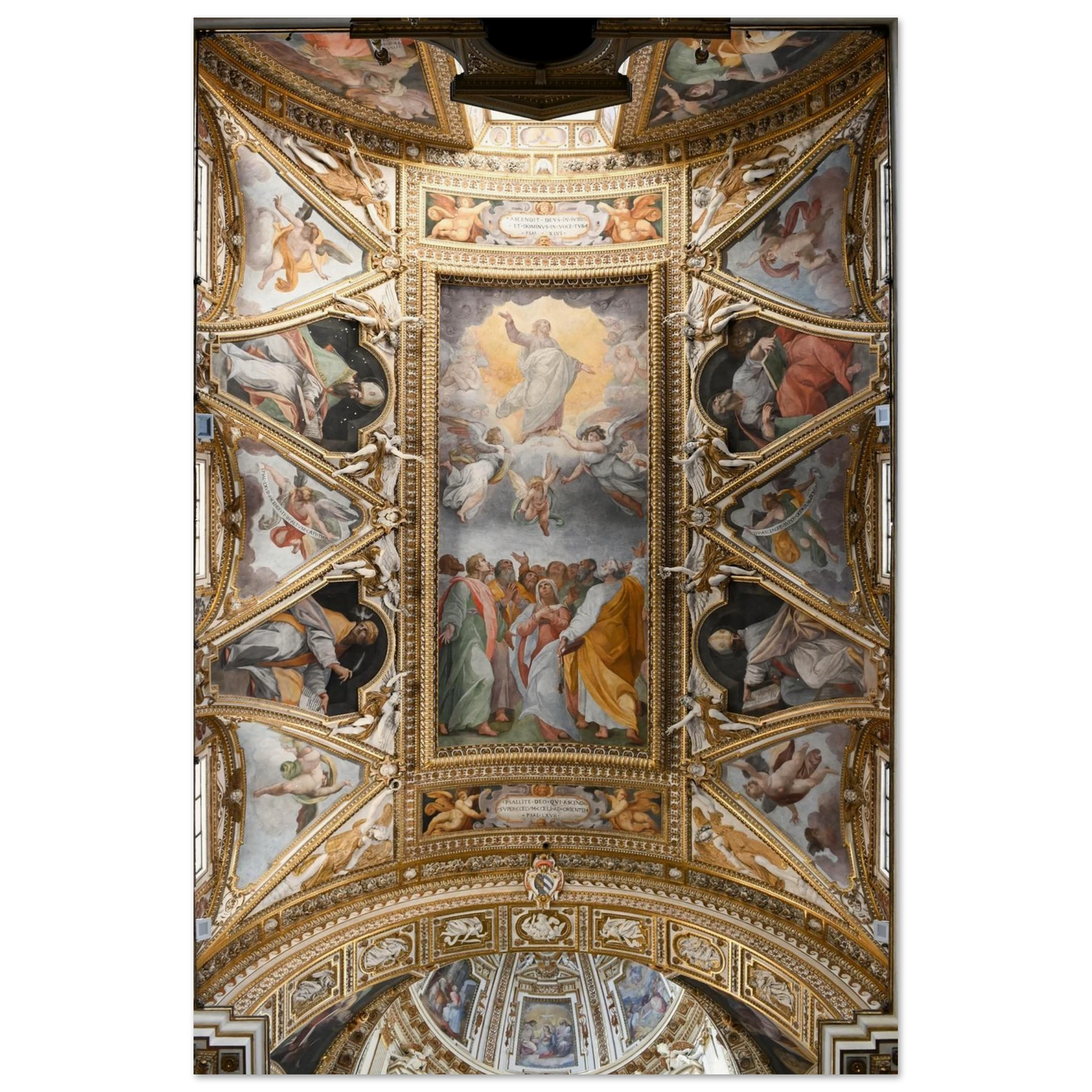 29ae5893-d2cb-4f00-b29a-c1d2210f1d93