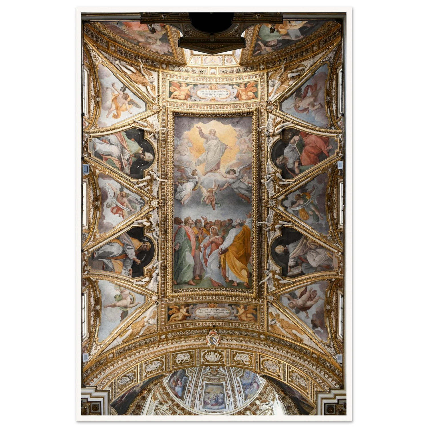 2baf4679-a1eb-450a-84d8-b99977910eb0