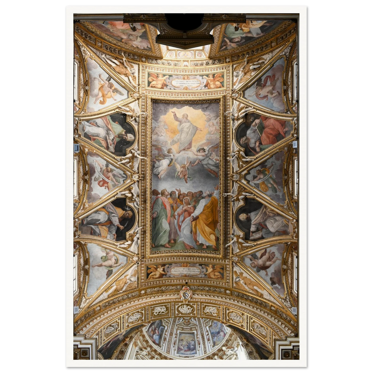 31a4a8bc-5c95-4f00-9098-55e25c930cde