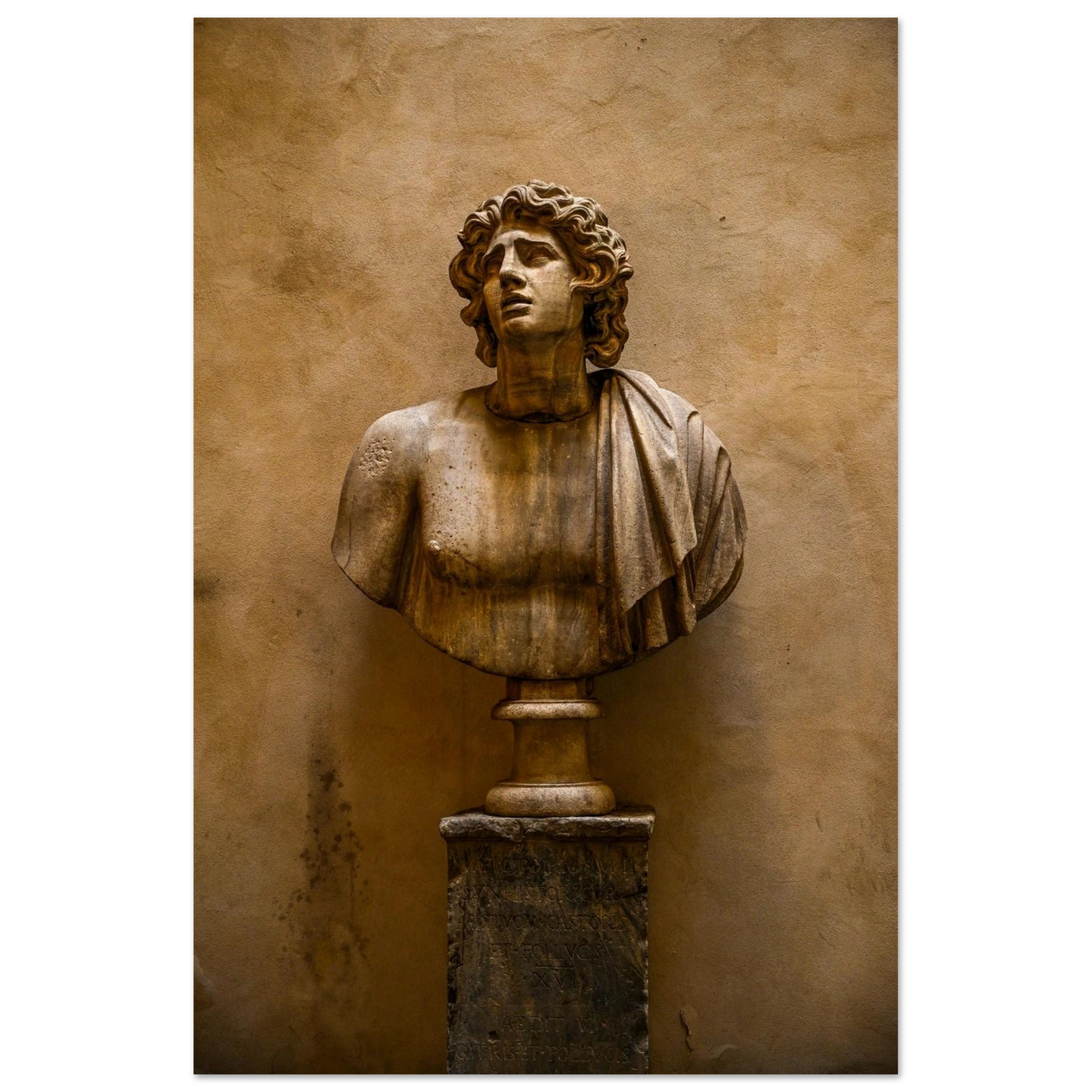 3ed79514-16cc-4cff-8ac3-90d9ff6a560a