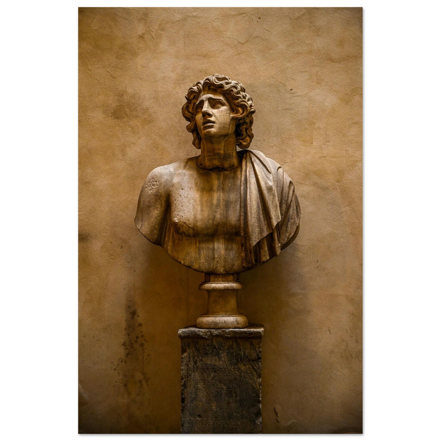 8b45e5e6-5427-4f91-9372-e73c7c5ac886