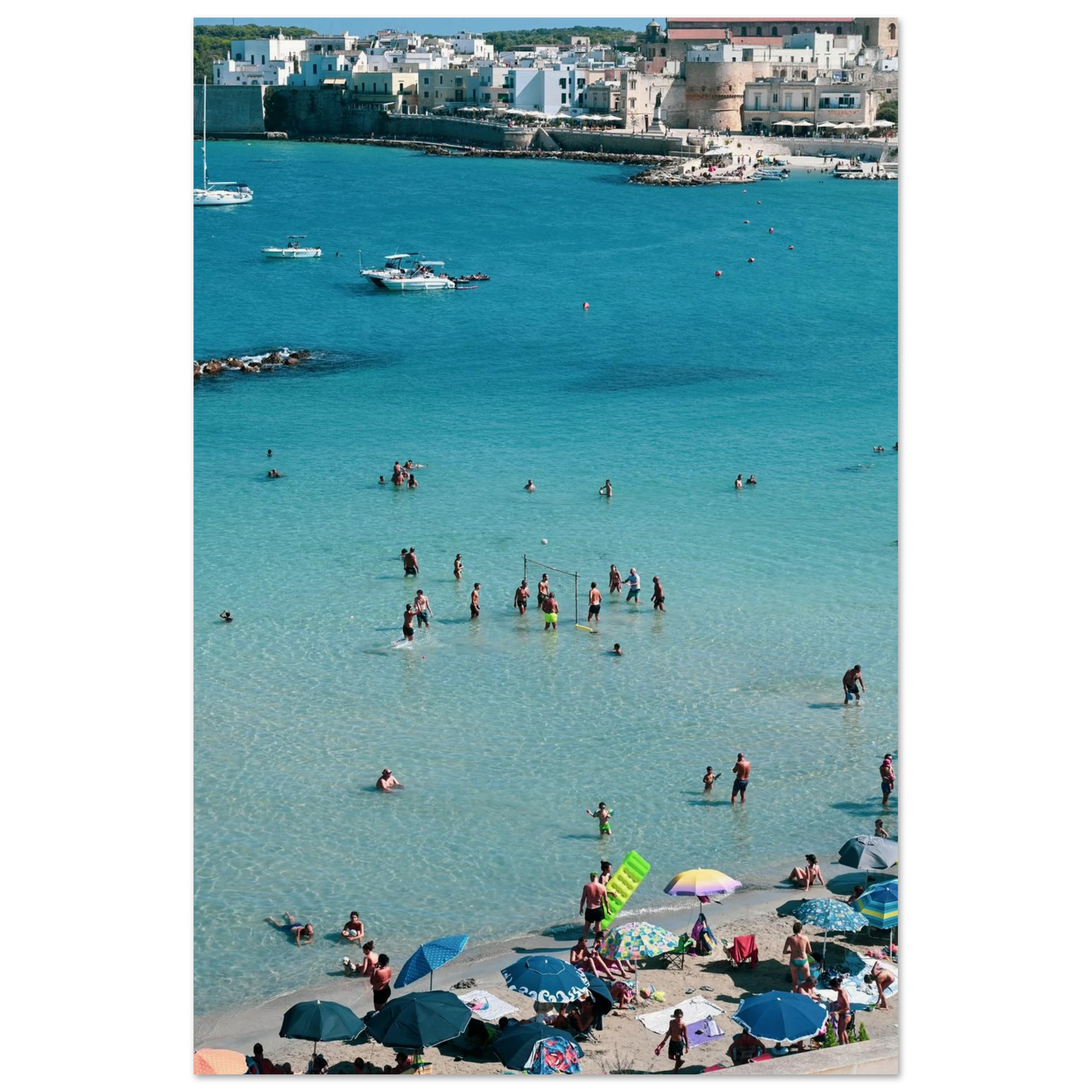 8d81b95b-0942-46f3-8062-b85e59a786db