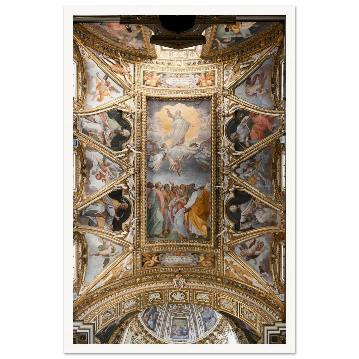 c7b9542a-3801-455e-bbfe-b83d95c2dcf0