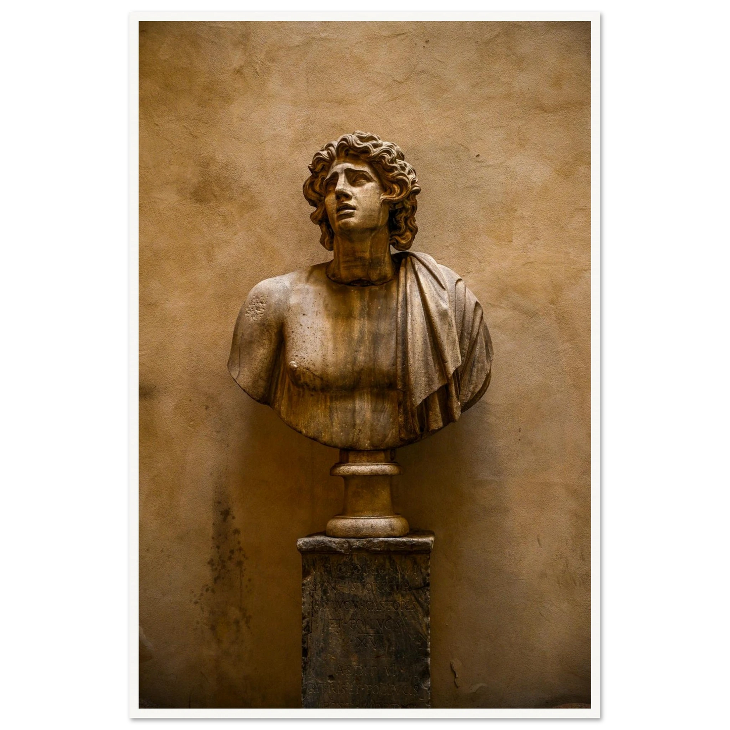 e614cca9-fff0-4c33-9ed0-e8bb9021c186